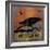 Raven-Erin Clark-Framed Giclee Print