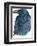 Raven-Jeannine Saylor-Framed Art Print