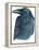 Raven-Jeannine Saylor-Framed Stretched Canvas