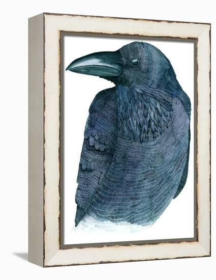 Raven-Jeannine Saylor-Framed Stretched Canvas