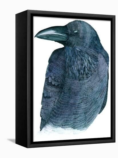 Raven-Jeannine Saylor-Framed Stretched Canvas
