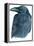 Raven-Jeannine Saylor-Framed Stretched Canvas