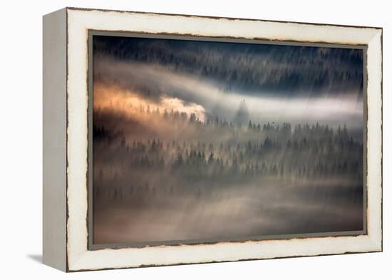 Raven-Marcin Sobas-Framed Premier Image Canvas