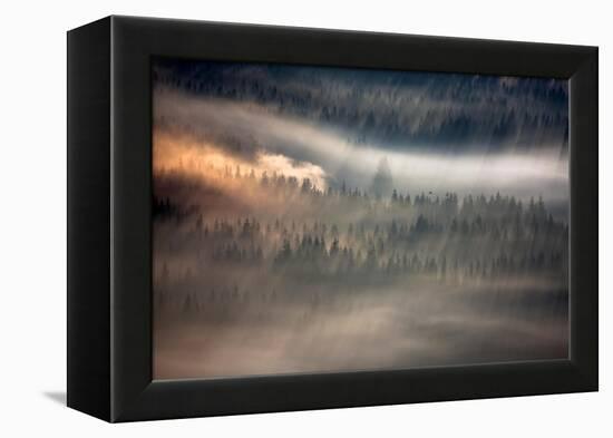 Raven-Marcin Sobas-Framed Premier Image Canvas