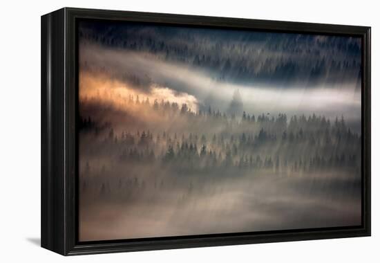 Raven-Marcin Sobas-Framed Premier Image Canvas