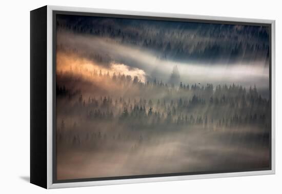 Raven-Marcin Sobas-Framed Premier Image Canvas