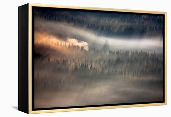 Raven-Marcin Sobas-Framed Premier Image Canvas