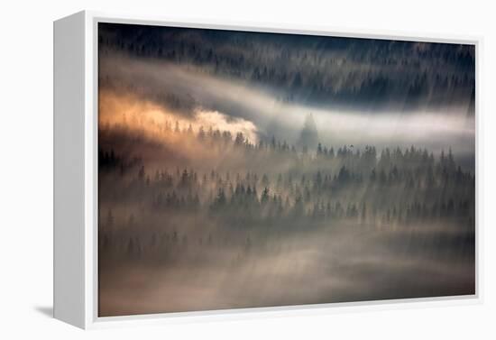 Raven-Marcin Sobas-Framed Premier Image Canvas