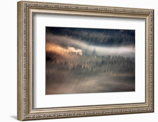 Raven-Marcin Sobas-Framed Photographic Print