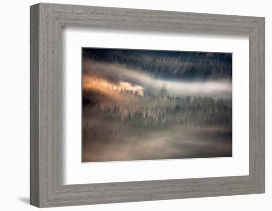 Raven-Marcin Sobas-Framed Photographic Print