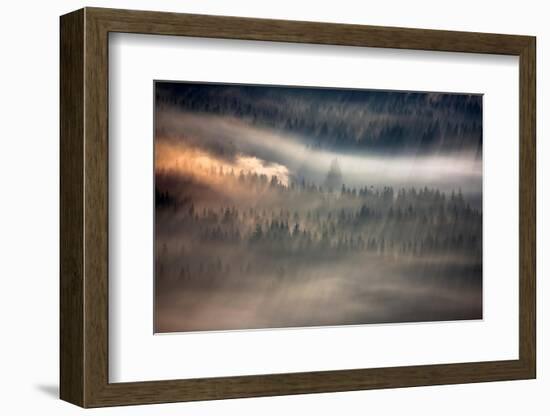 Raven-Marcin Sobas-Framed Photographic Print