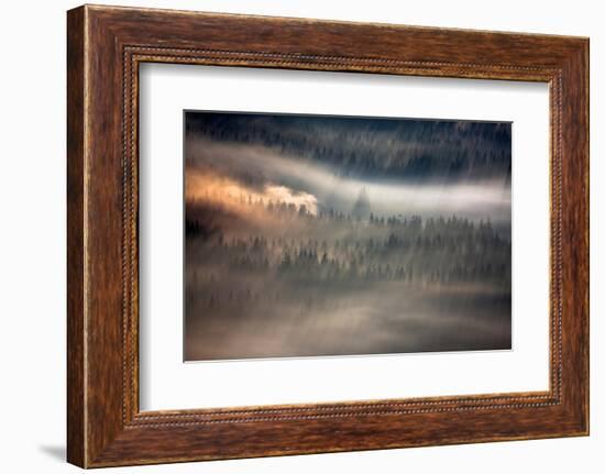 Raven-Marcin Sobas-Framed Photographic Print