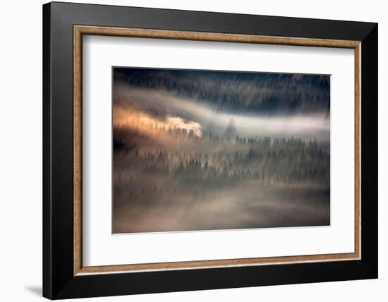 Raven-Marcin Sobas-Framed Photographic Print