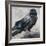 Raven-Renee Gould-Framed Giclee Print