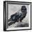 Raven-Renee Gould-Framed Giclee Print