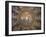 Ravenna, Emilia Romagna, Italy, Europe-Richard Ashworth-Framed Photographic Print