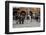Ravenna on election day. Artist: Unknown-Unknown-Framed Photographic Print