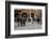 Ravenna on election day. Artist: Unknown-Unknown-Framed Photographic Print