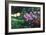 Ravens' Garden-Bruce Dumas-Framed Giclee Print