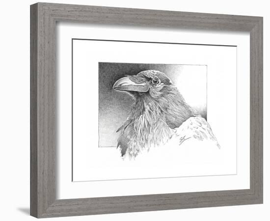 Ravens Head-Durwood Coffey-Framed Giclee Print