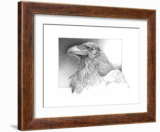 Ravens Head-Durwood Coffey-Framed Giclee Print