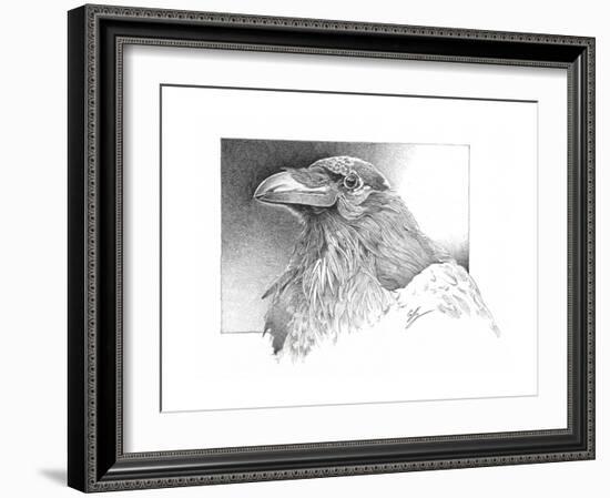 Ravens Head-Durwood Coffey-Framed Giclee Print