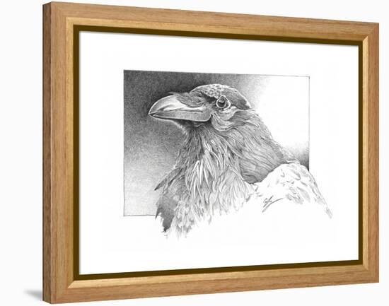 Ravens Head-Durwood Coffey-Framed Premier Image Canvas