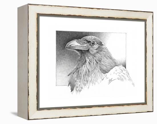 Ravens Head-Durwood Coffey-Framed Premier Image Canvas