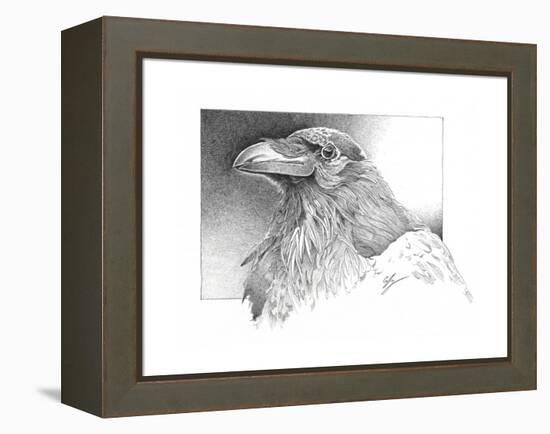Ravens Head-Durwood Coffey-Framed Premier Image Canvas