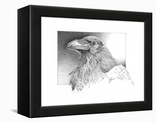 Ravens Head-Durwood Coffey-Framed Premier Image Canvas