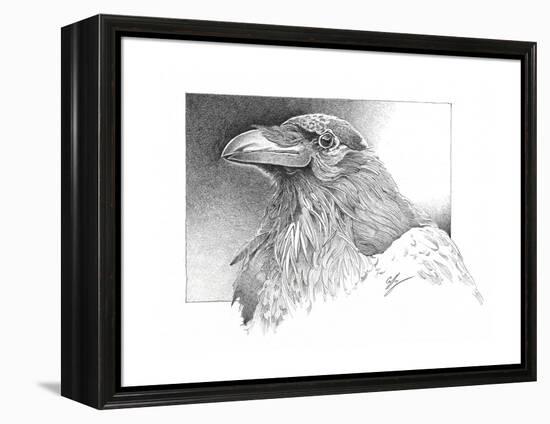 Ravens Head-Durwood Coffey-Framed Premier Image Canvas