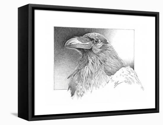 Ravens Head-Durwood Coffey-Framed Premier Image Canvas