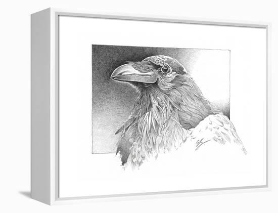 Ravens Head-Durwood Coffey-Framed Premier Image Canvas