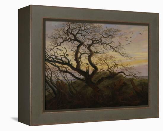 Ravens in a Tree (Bare Tree at the Coast of Ruegen, Or: Rookery on the Island Ruegen), about 1822-Caspar David Friedrich-Framed Premier Image Canvas