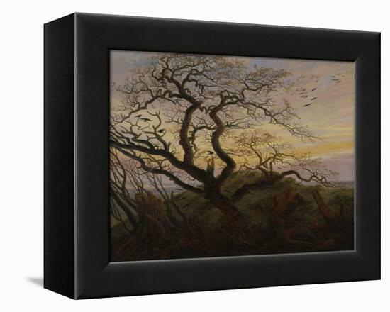 Ravens in a Tree (Bare Tree at the Coast of Ruegen, Or: Rookery on the Island Ruegen), about 1822-Caspar David Friedrich-Framed Premier Image Canvas