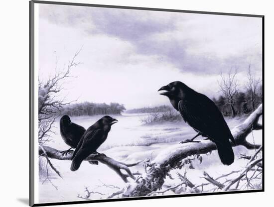 Ravens in Winter (Colour Litho)-Harry Bright-Mounted Giclee Print