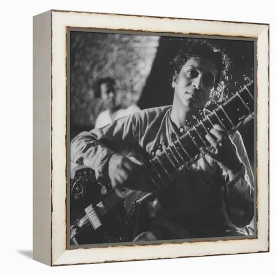 Ravi Shankar Passionately Playing the Sitar-Paul Schutzer-Framed Premier Image Canvas