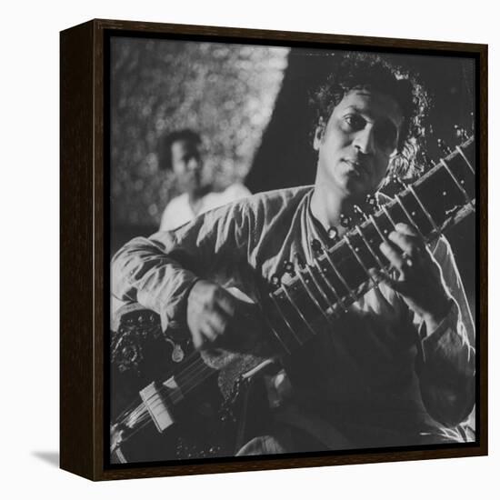 Ravi Shankar Passionately Playing the Sitar-Paul Schutzer-Framed Premier Image Canvas