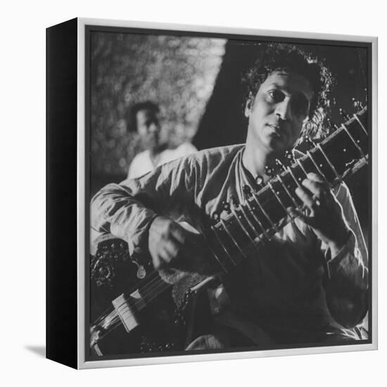 Ravi Shankar Passionately Playing the Sitar-Paul Schutzer-Framed Premier Image Canvas