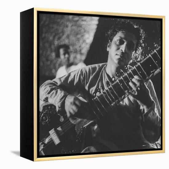 Ravi Shankar Passionately Playing the Sitar-Paul Schutzer-Framed Premier Image Canvas