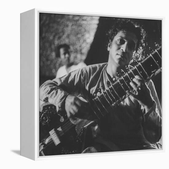 Ravi Shankar Passionately Playing the Sitar-Paul Schutzer-Framed Premier Image Canvas