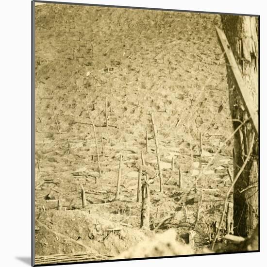 Ravine at Les Éparges, northern France, c1914-c1918-Unknown-Mounted Photographic Print