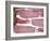 Raw Bacon-Tara Fisher-Framed Photographic Print