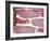 Raw Bacon-Tara Fisher-Framed Photographic Print