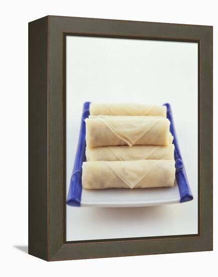 Raw Spring Rolls on a Platter-Peter Medilek-Framed Premier Image Canvas