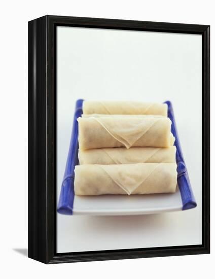 Raw Spring Rolls on a Platter-Peter Medilek-Framed Premier Image Canvas