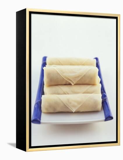 Raw Spring Rolls on a Platter-Peter Medilek-Framed Premier Image Canvas