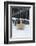 Raw Wooden Star in Front of Fence in the Snow-Andrea Haase-Framed Photographic Print