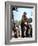 Rawhide-null-Framed Photo