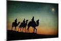 Photographic Print